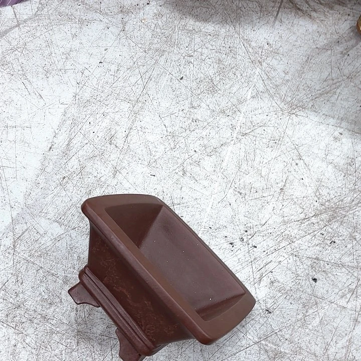 紫砂花盆紫砂的花也太