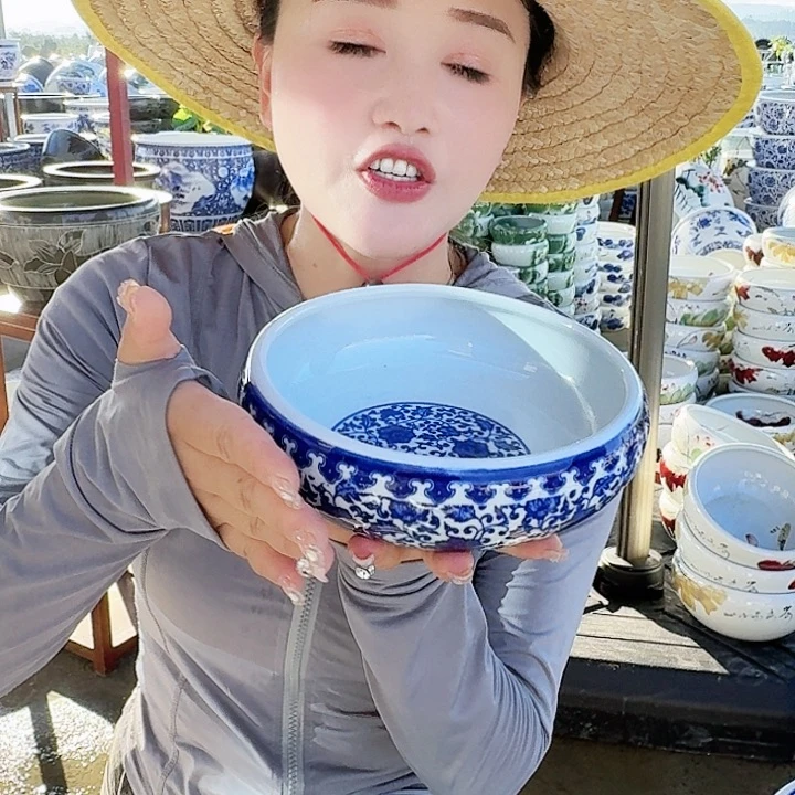 瓷片直径20厘米 高度6厘米