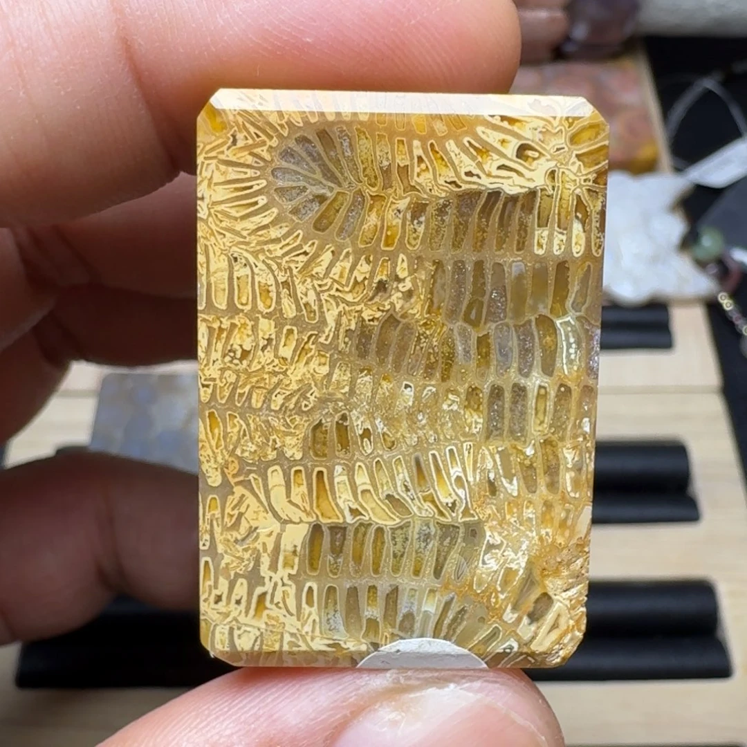 未镶嵌纯天然色有机玉石保真色硅化玉