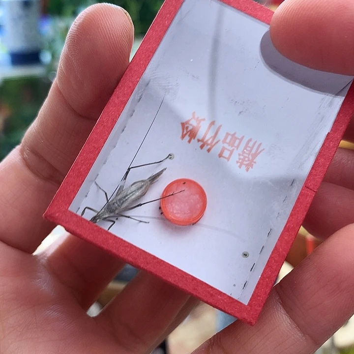 紫竹两只啊啊啊啊啊啊啊