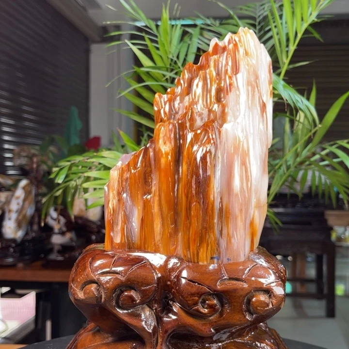 硅化玉（树化玉）未镶嵌摆件