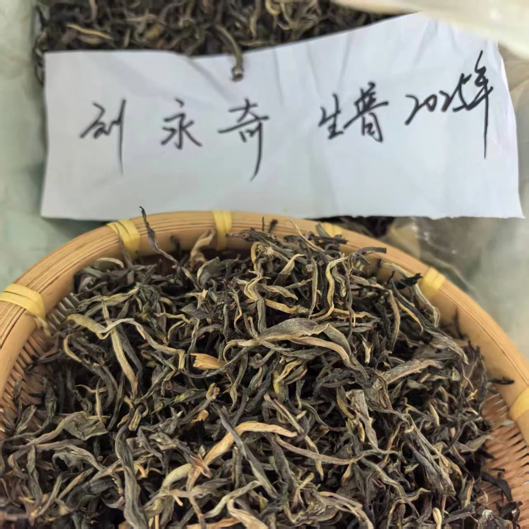 刘永奇·2025年百年古树生普