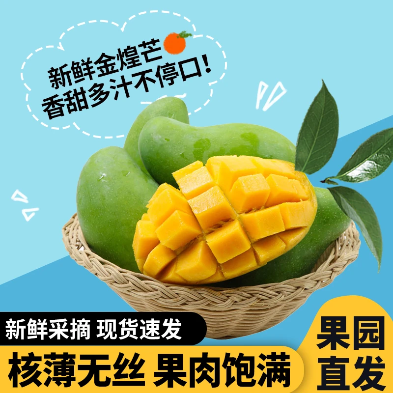 【百色大金煌】青皮大金煌芒果当季新鲜水果现摘大青芒爆汁脆甜