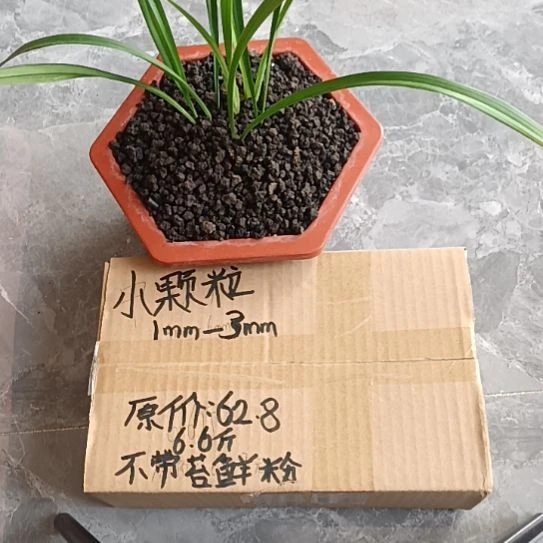 红***泥兰菌黑山土小颗粒6.6斤