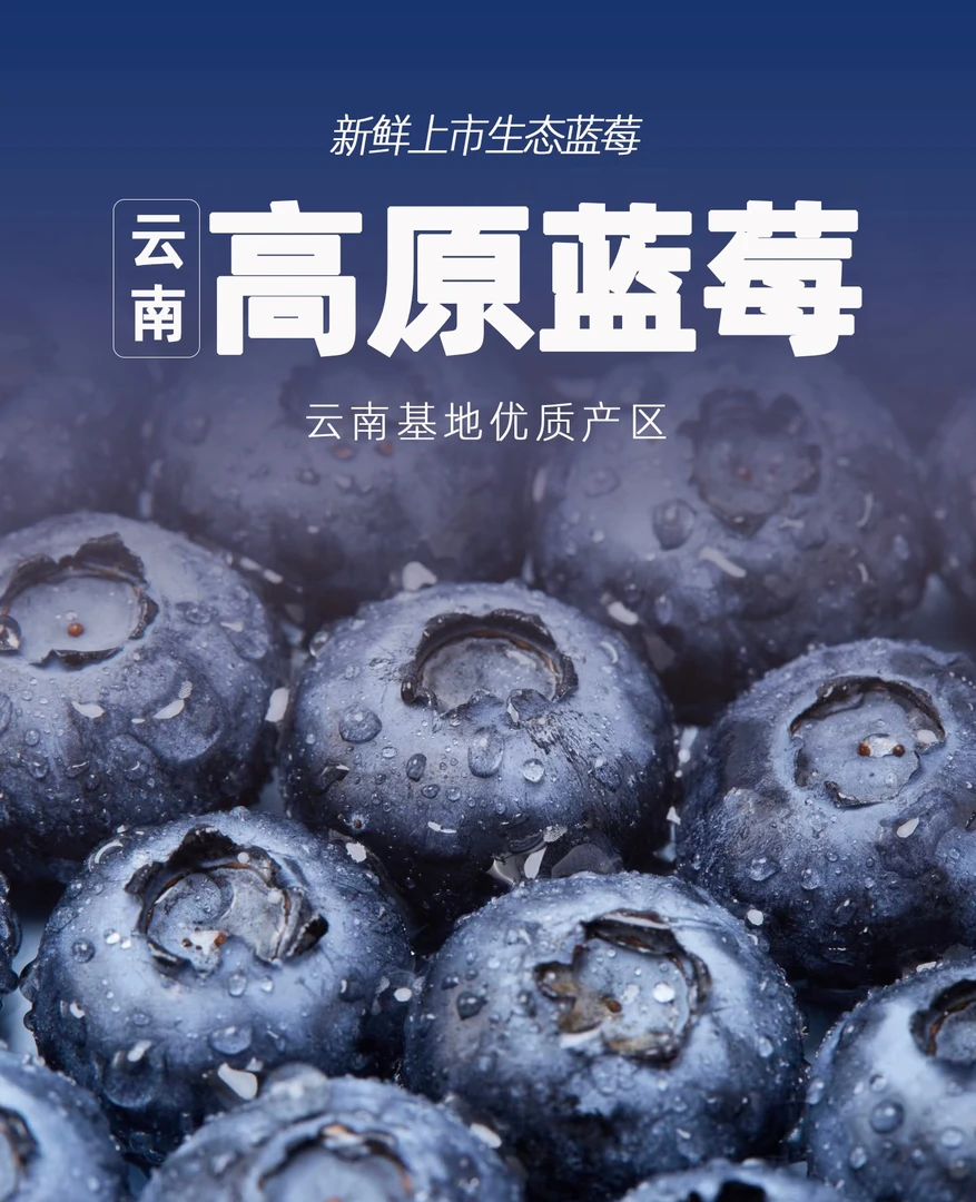 【阿拉丁专属2】云南澄江抚仙湖蓝莓基地直发（22~26mm）精选果王
