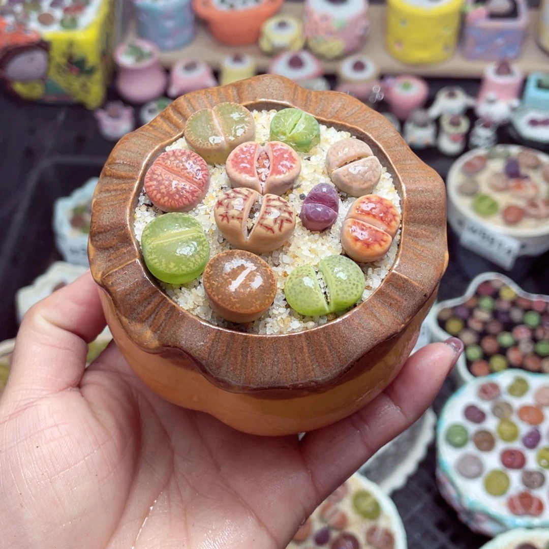 w9929 带盆土发货-零下地区拍保温箱