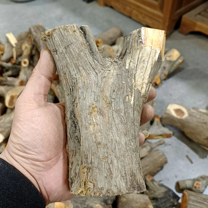 讲***人香榧木崖柏原叉崖柏原叉崖柏