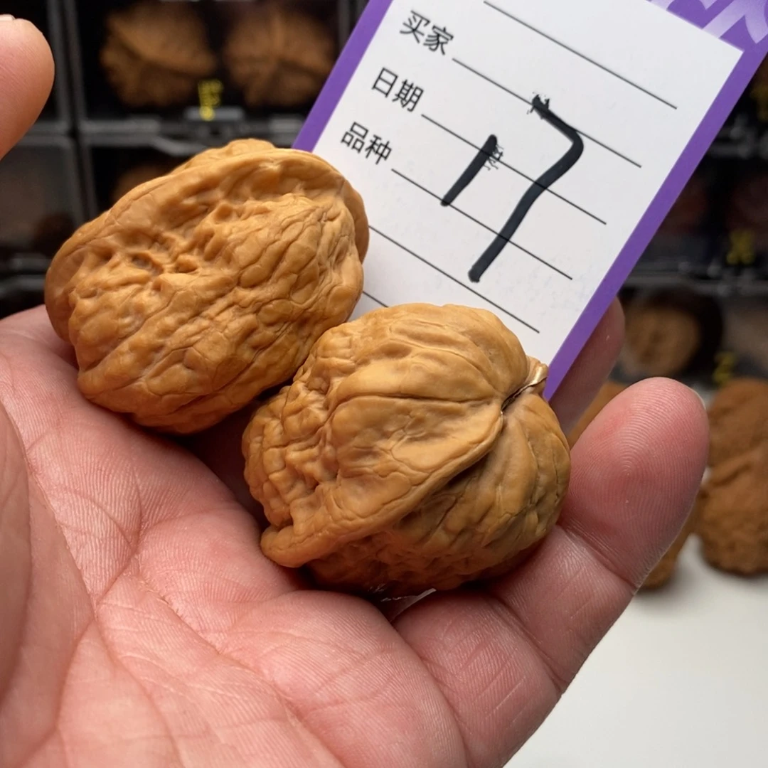 火*38京西金蟾一对来了