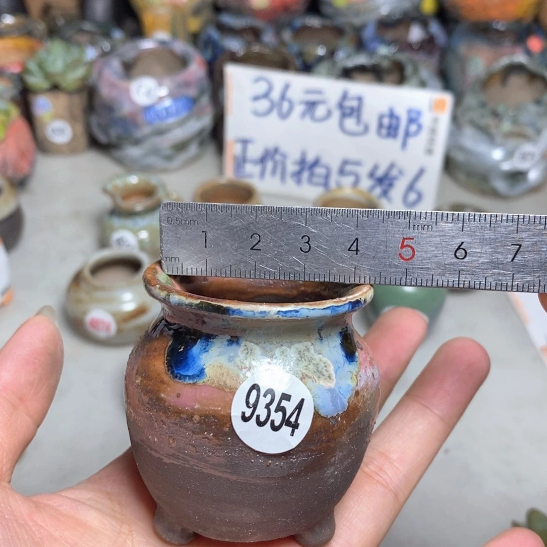 拍5送一个小礼物
