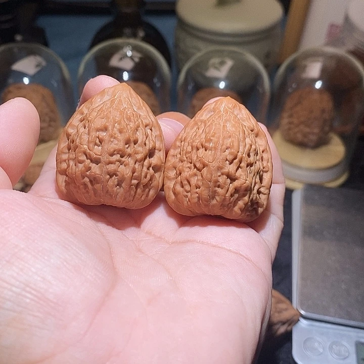 吊坠文玩核桃蛇王一抹红