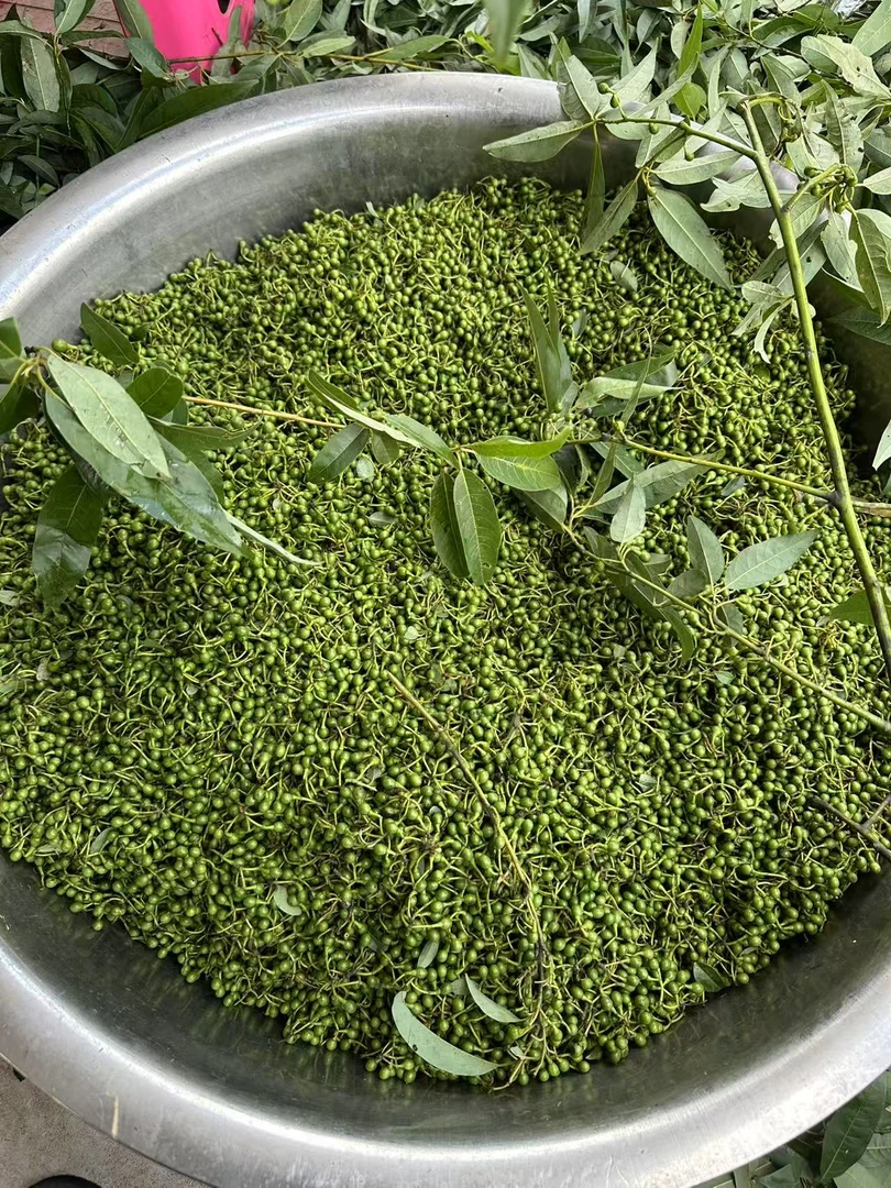 云南野生新鲜现摘老木姜子（山胡椒）