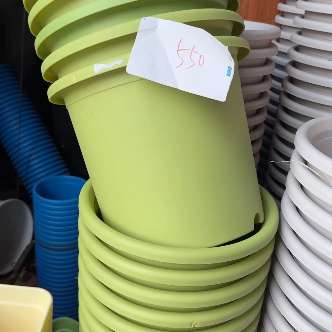 编号550-5个溶边口径32高28微瑕