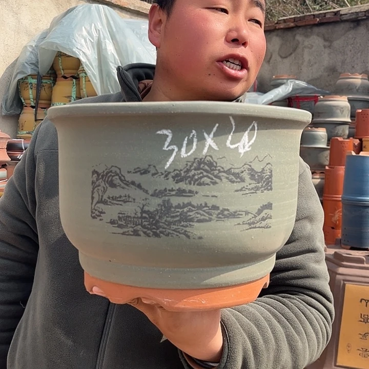 紫砂紫砂花盆盆栽