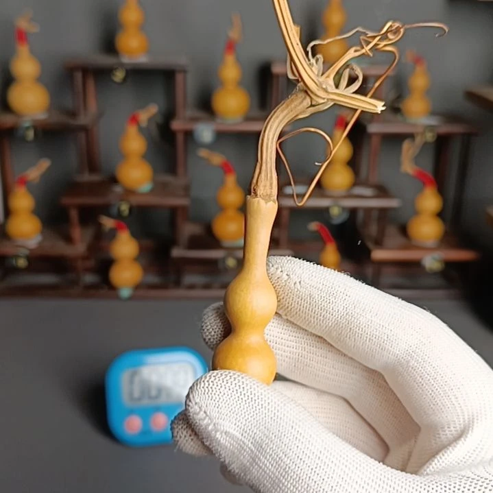 啊**哈葫芦葫芦葫芦葫芦葫芦葫芦