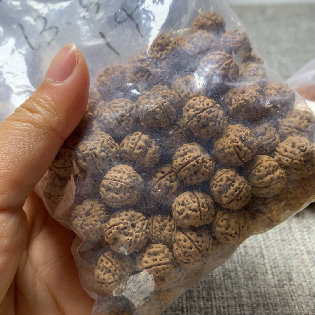 光***月吊坠金刚菩提老树梅花13.8-14尺寸