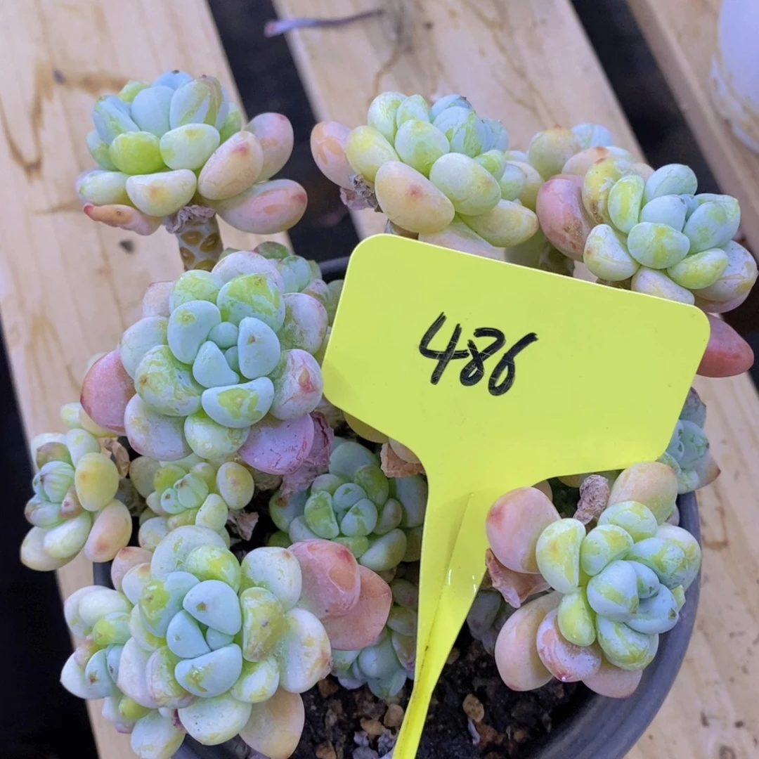 清货场，仅限今天，不对