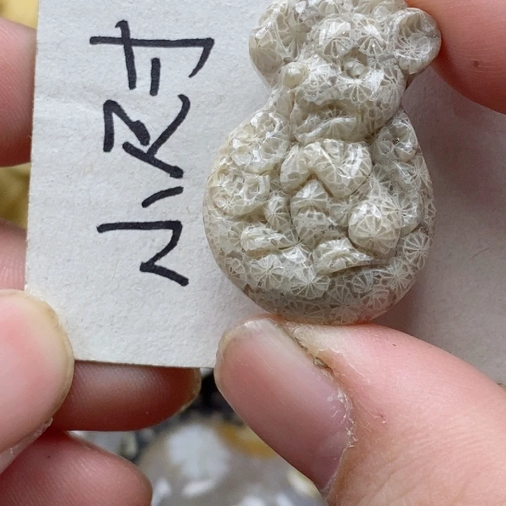 颈饰未镶嵌硅化珊瑚（珊瑚玉）