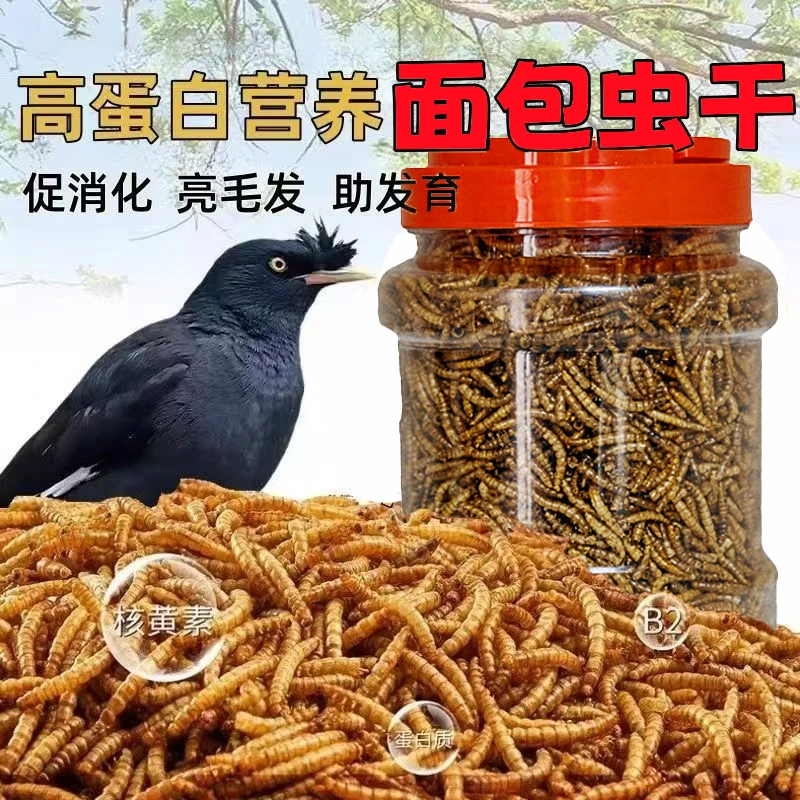 八哥虎皮鹦鹉鸟食面包虫干鹩哥玄凤专用鸟粮鸟零食画眉绣眼鸟饲料