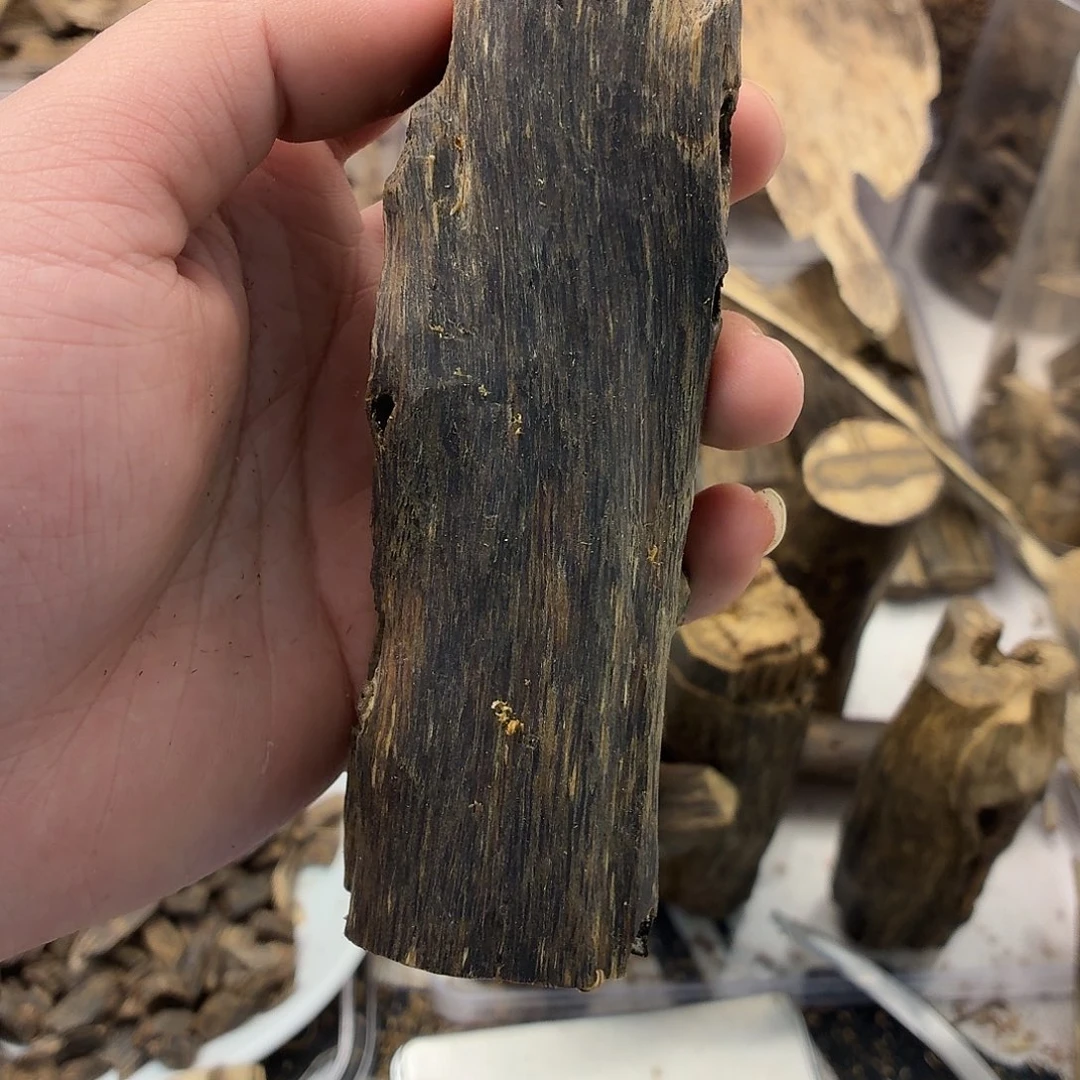 虫漏皮油38.8克包邮