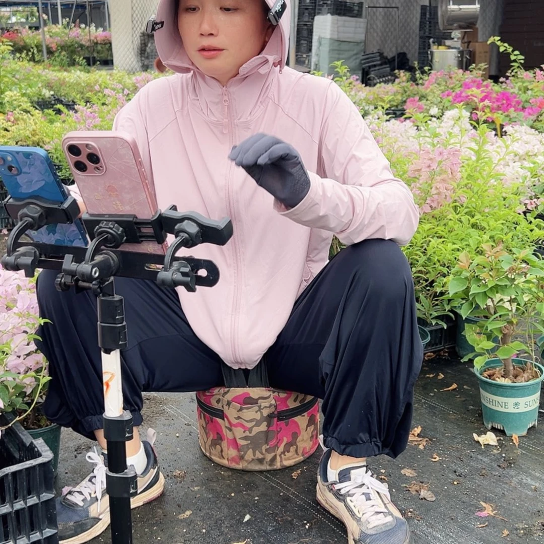 完全开放钵钵鸡5元一棵