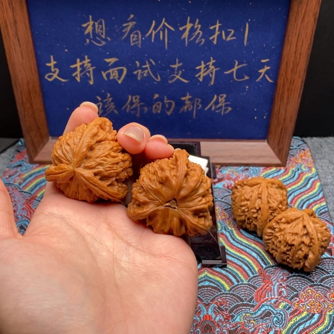 【闪购商品】奋*白狮