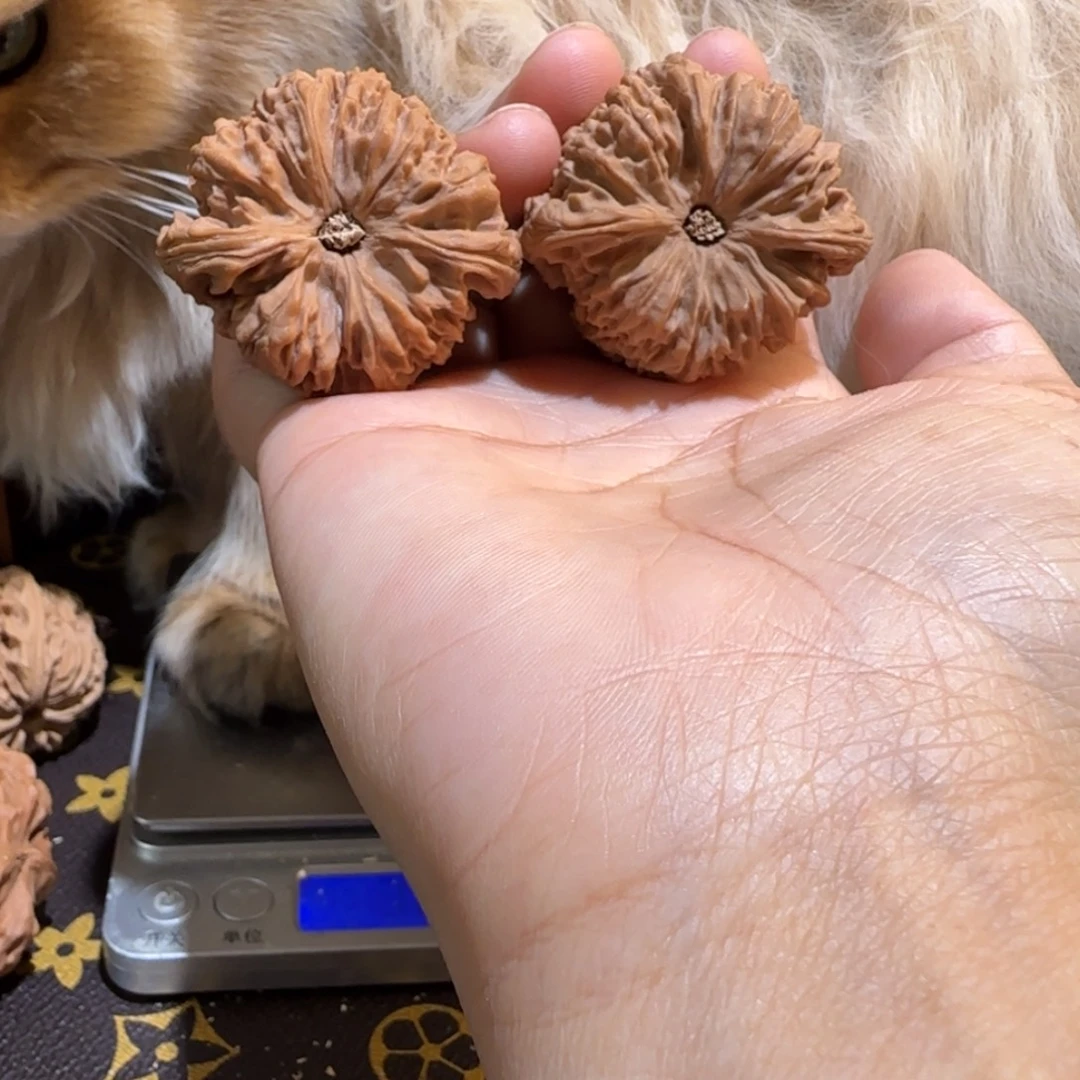 抖***态桃核吊坠核桃核桃