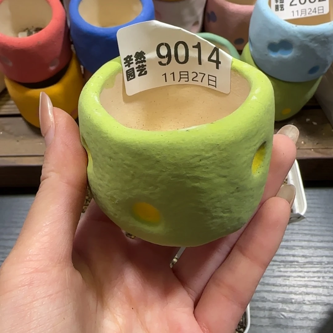 冉***啦11.27.奶酪盆.9014