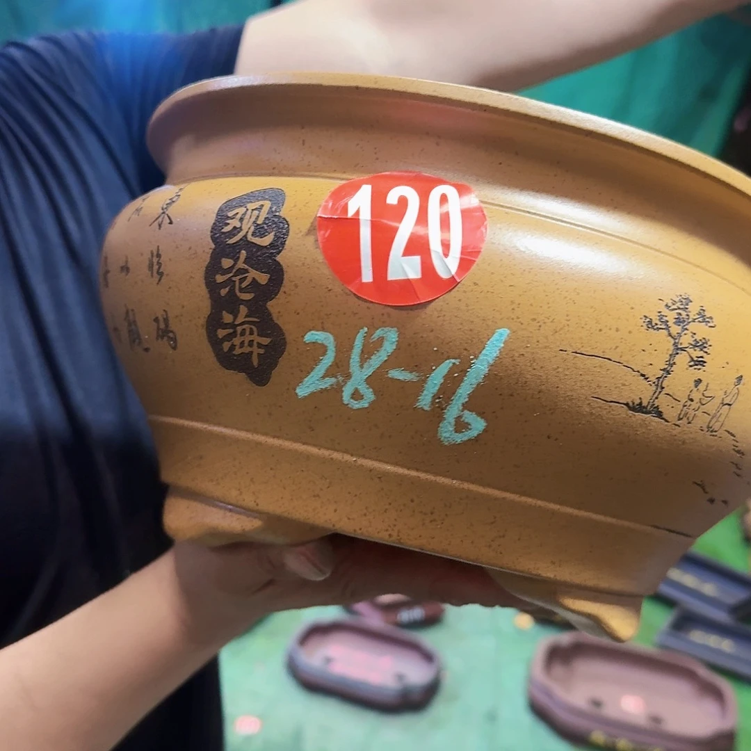 紫砂花盆紫砂花盆