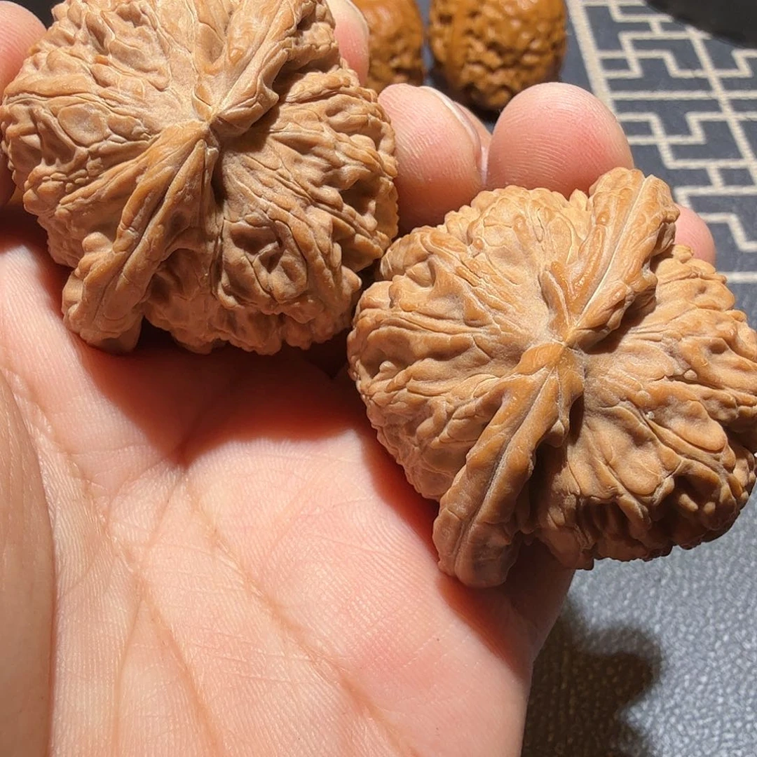 文玩核桃把件白狮子