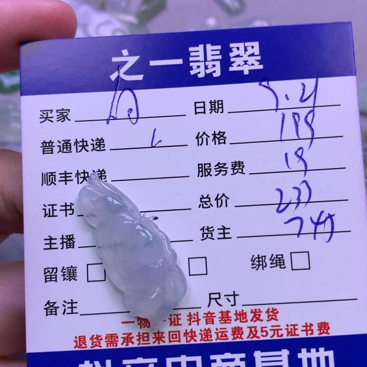 颈饰未镶嵌翡翠何*依