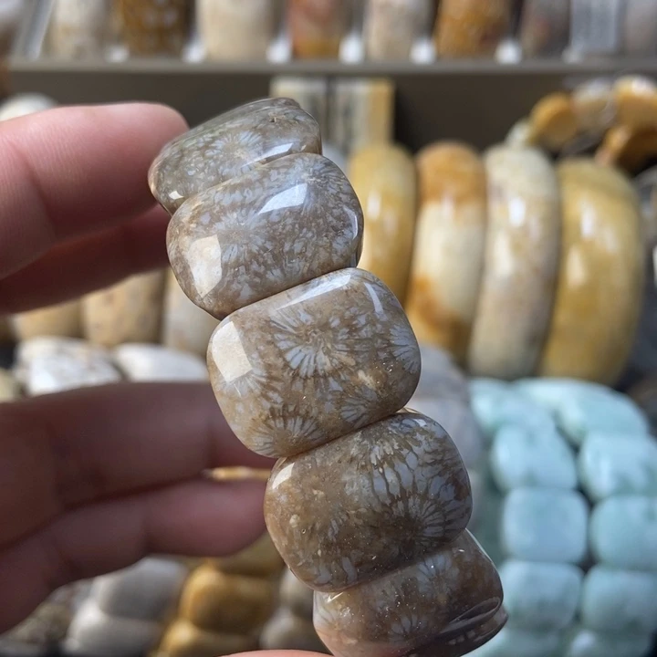 未镶嵌手链硅化珊瑚（珊瑚玉）
