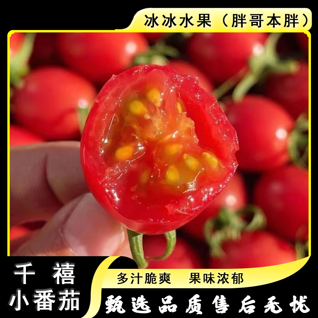 【原装】[N]千禧小番茄 箱/2.5斤左右 仅太原晋中吕梁忻州可拍
