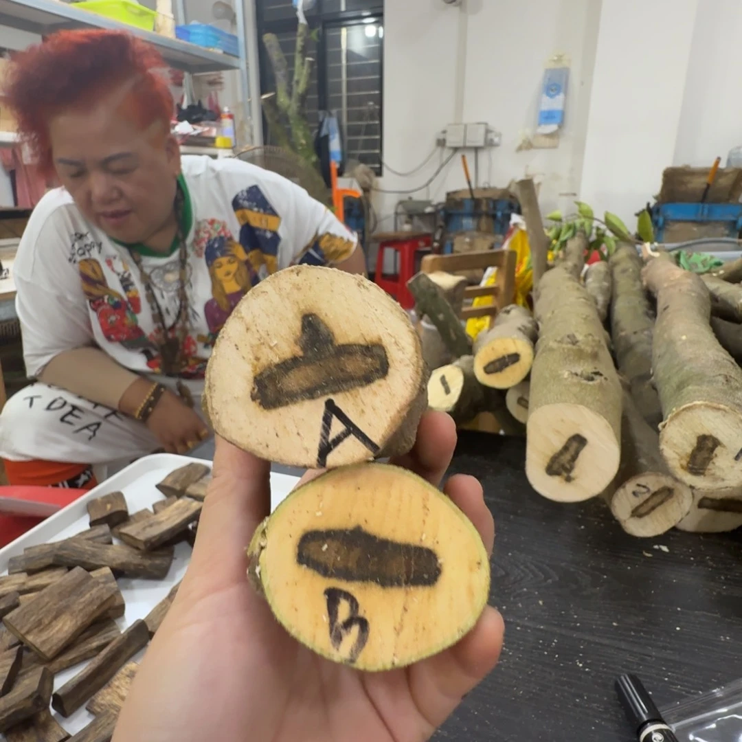 线香奇楠沉香原木