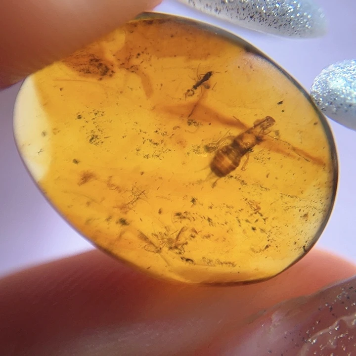 琥珀裸石未镶嵌？