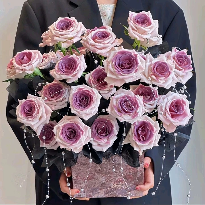 玫瑰花/鲜花19朵乌梅子酱抱抱袋/桶生日礼物送女友好友闺蜜