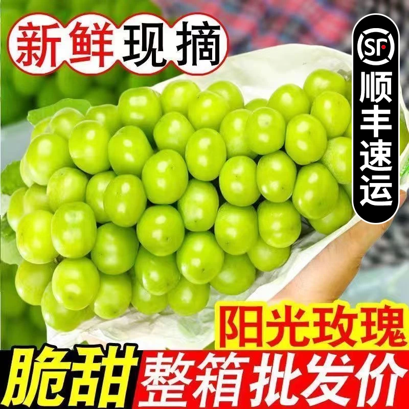 S3【顺丰包邮】正宗阳光玫瑰葡萄当季水果爆汁无核无籽整箱发货