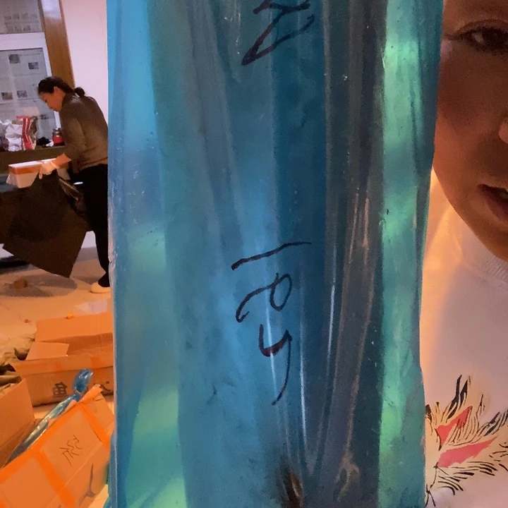 佳***倩中国大陆渤海湾野生燕鲅鱼M号