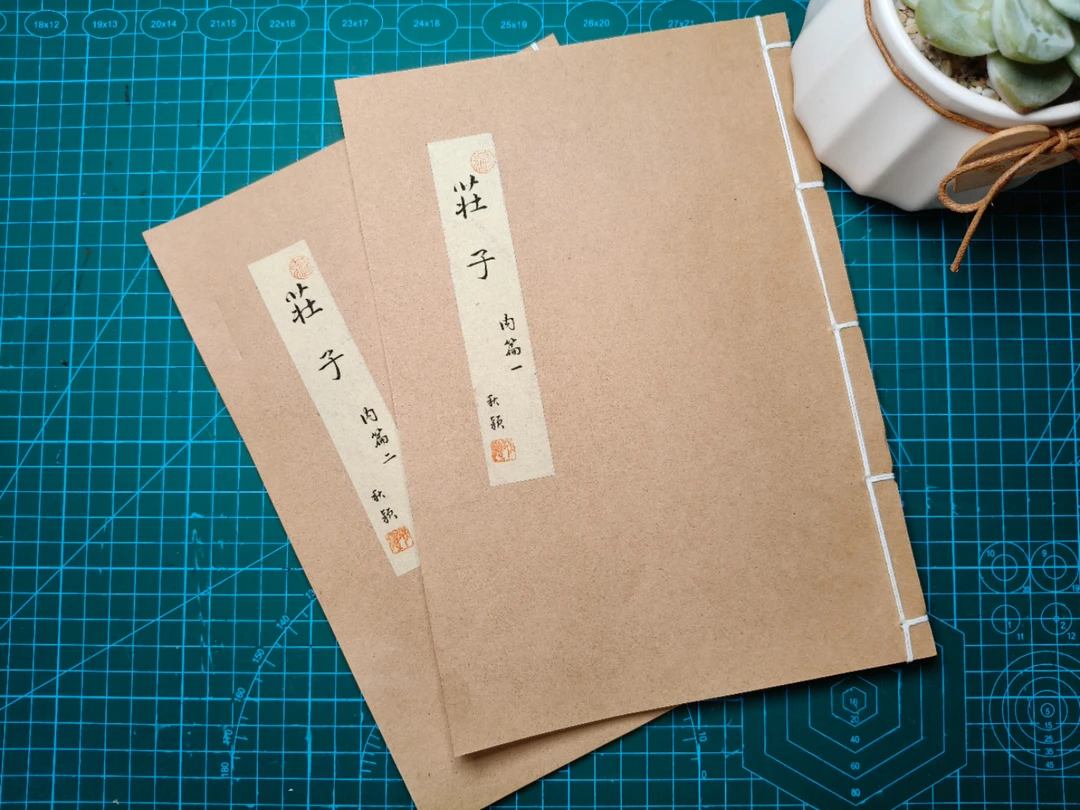 【硬笔手稿】庄子内篇高清道林纸打印线装字帖持续更新