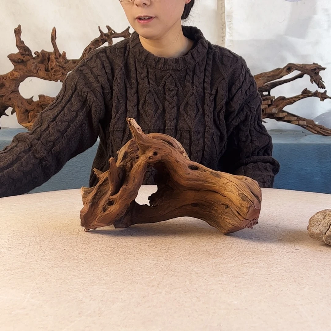 沉木造景寄居蟹造景