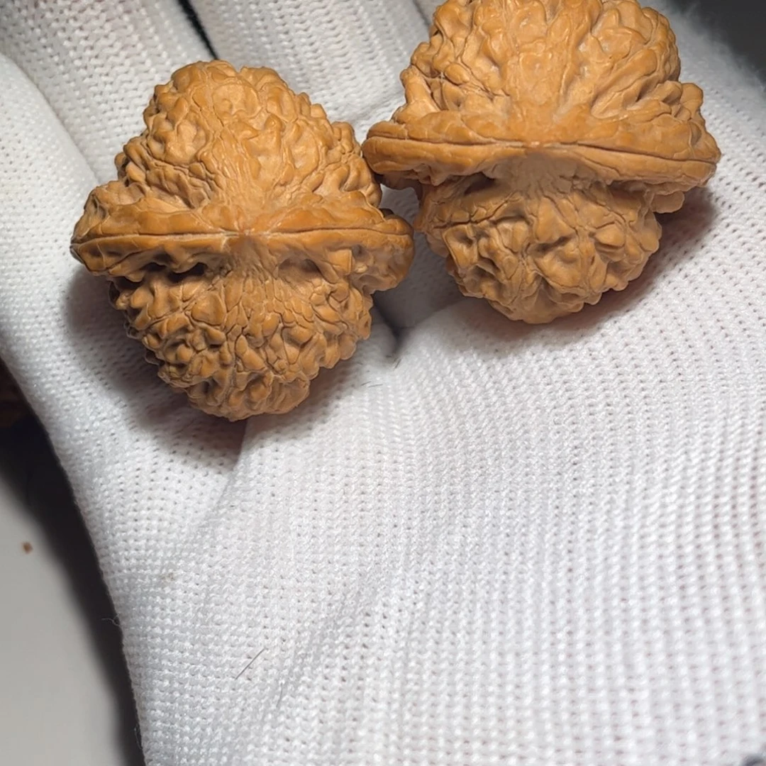 野生鸡心手碾66米