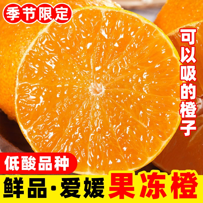 【现摘果冻橙】正宗爱媛果冻橙 新鲜采摘清甜爆汁坏果包赔