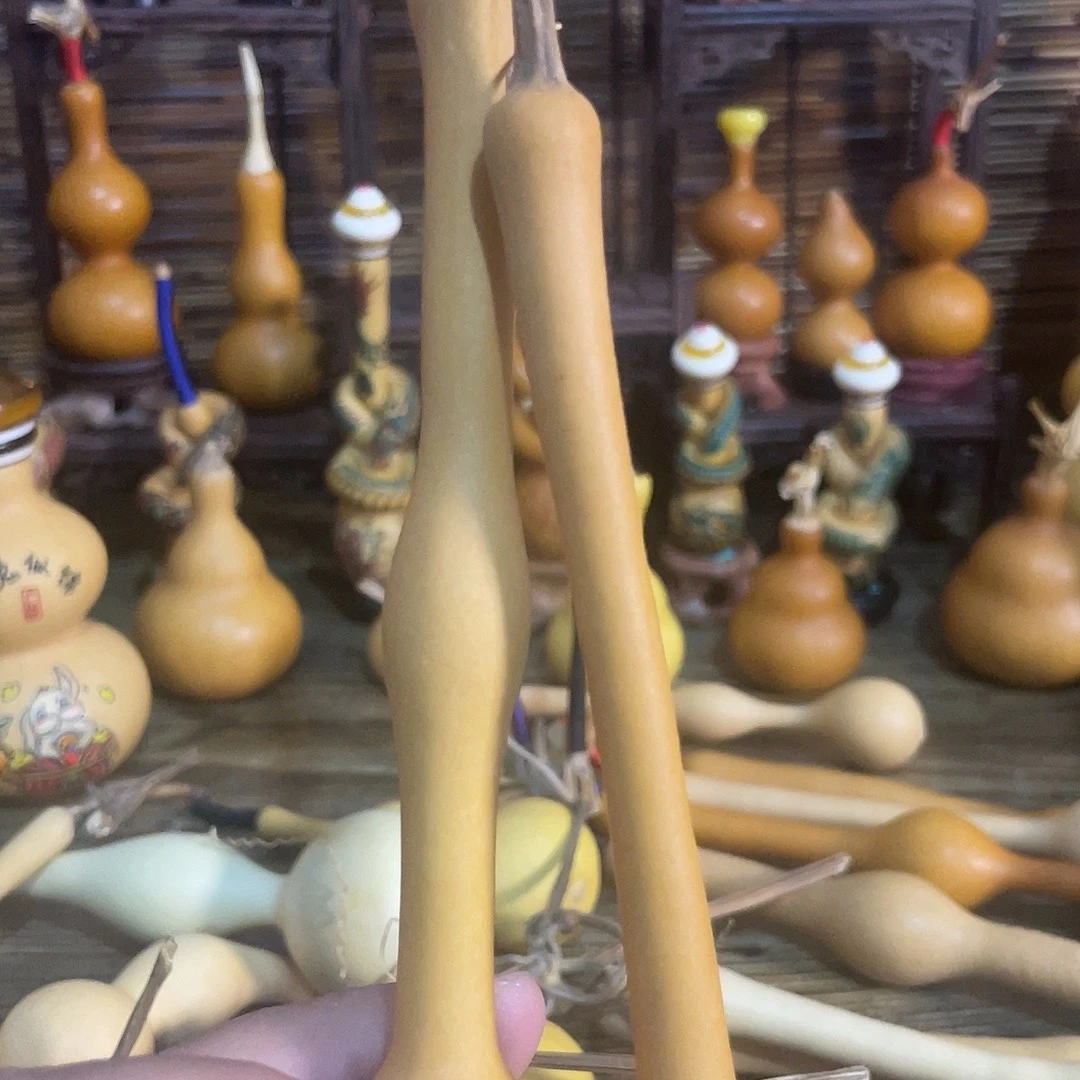 蚂蚁莲芝杆子很周正