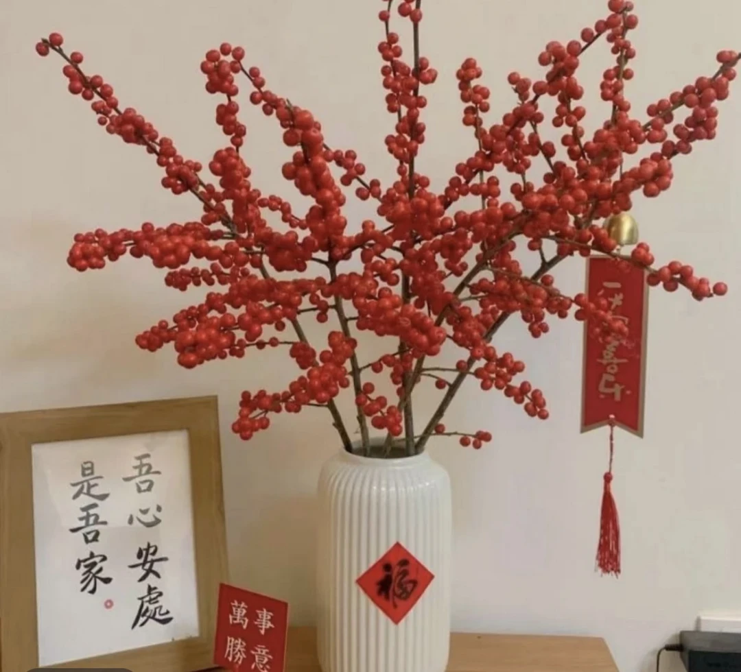 状元红80厘米 北美冬青 鲜花年宵花中国红天物园艺顺丰包邮