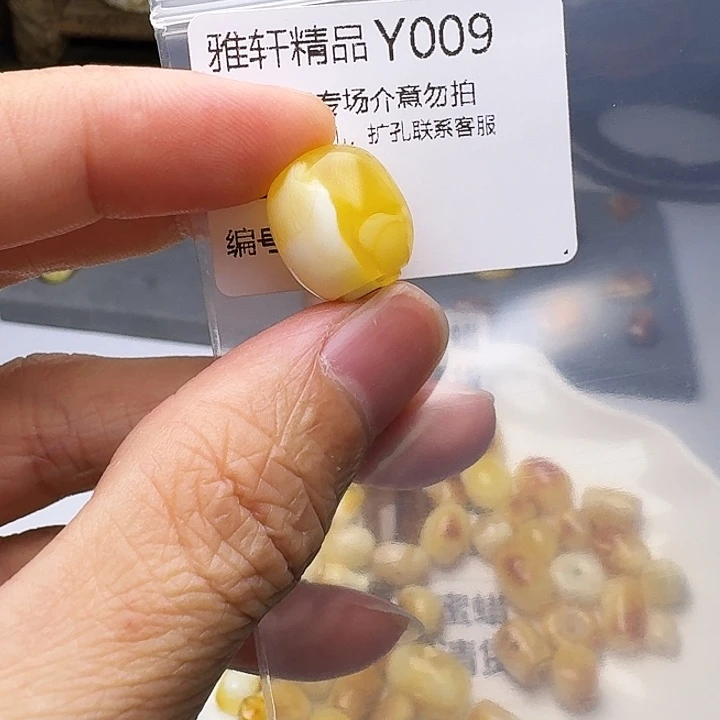 裸石琥珀未镶嵌琥珀