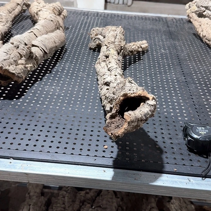 双***鱼完全开放一物一拍一物一发