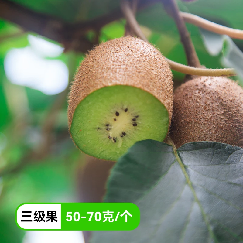 农掌柜 翠香猕猴桃奇异果 应季新鲜30枚 香甜多汁 绿心猕猴桃