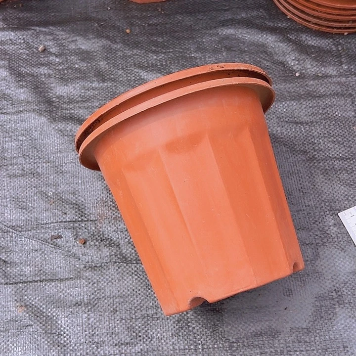 红砖口径20高17发15个