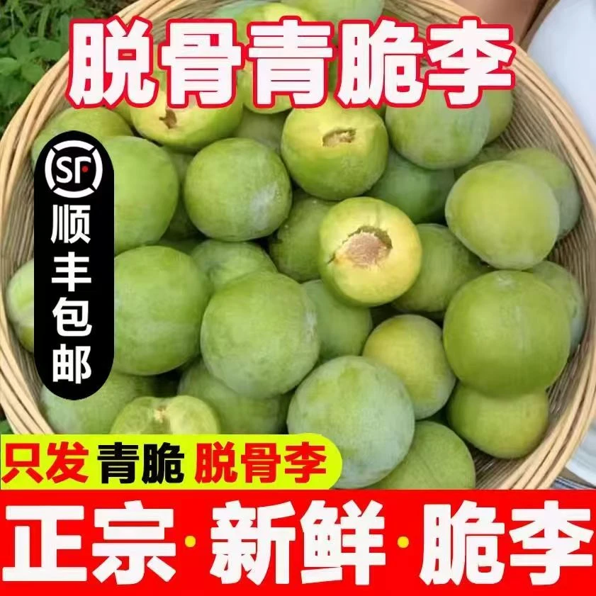 顺丰包邮贵州高山李子新鲜水果冰脆李脆甜现摘当季应季空心青脆李