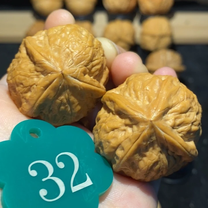 核桃一三一四36尺寸核桃