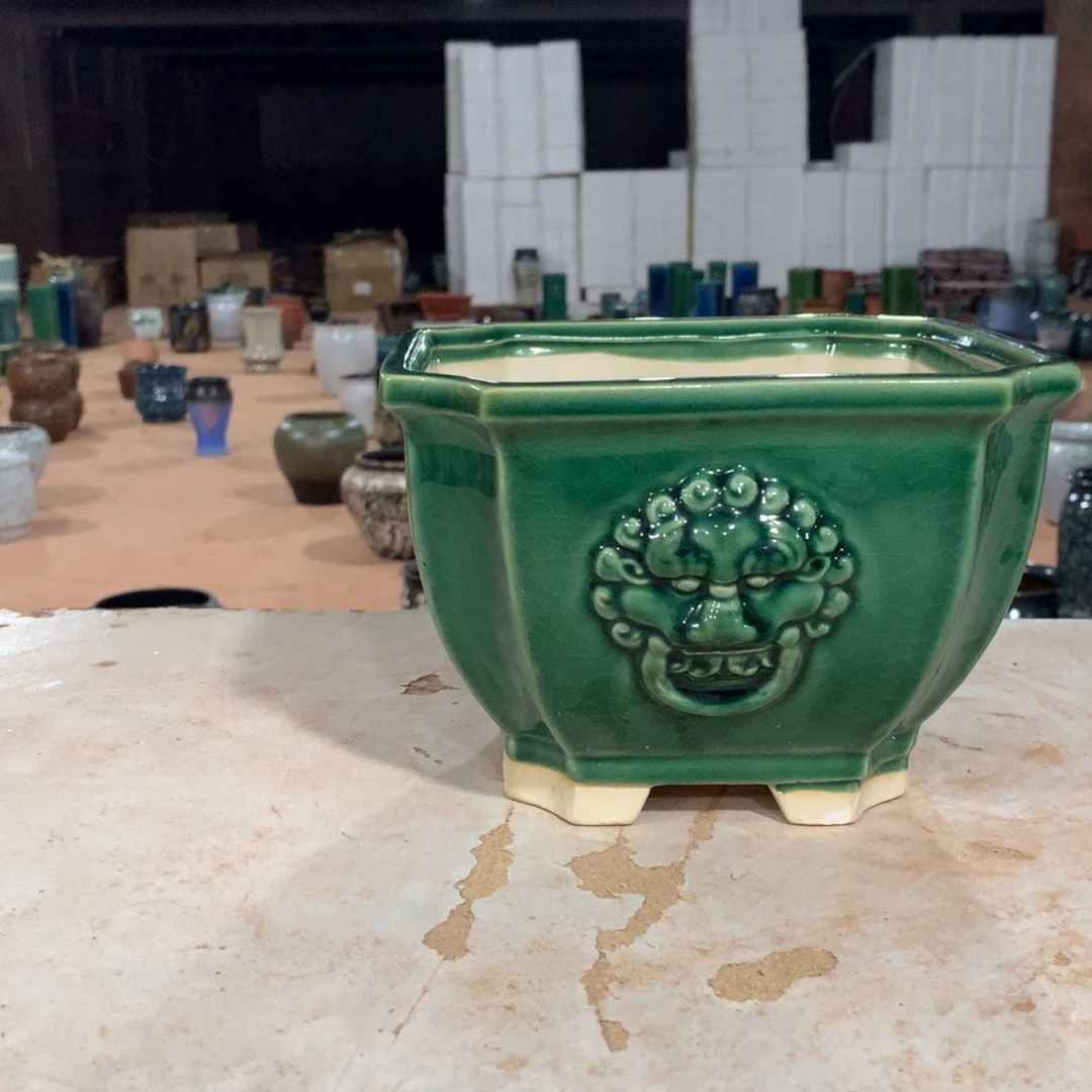 花盆啦啦啦啦啦啦啦啦